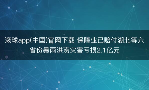 滚球app(中国)官网下载 保障业已赔付湖北等六省份暴雨洪涝灾害亏损2.1亿元