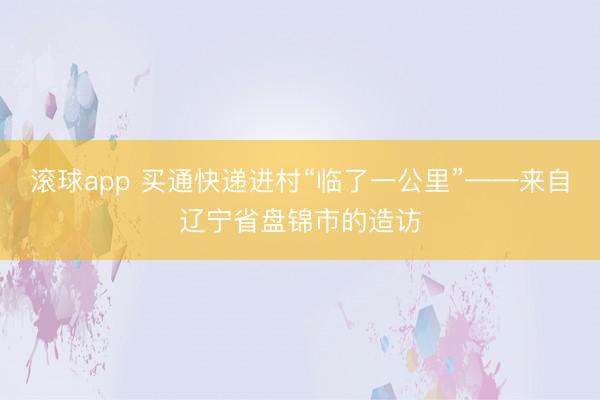 滚球app 买通快递进村“临了一公里”——来自辽宁省盘锦市的造访